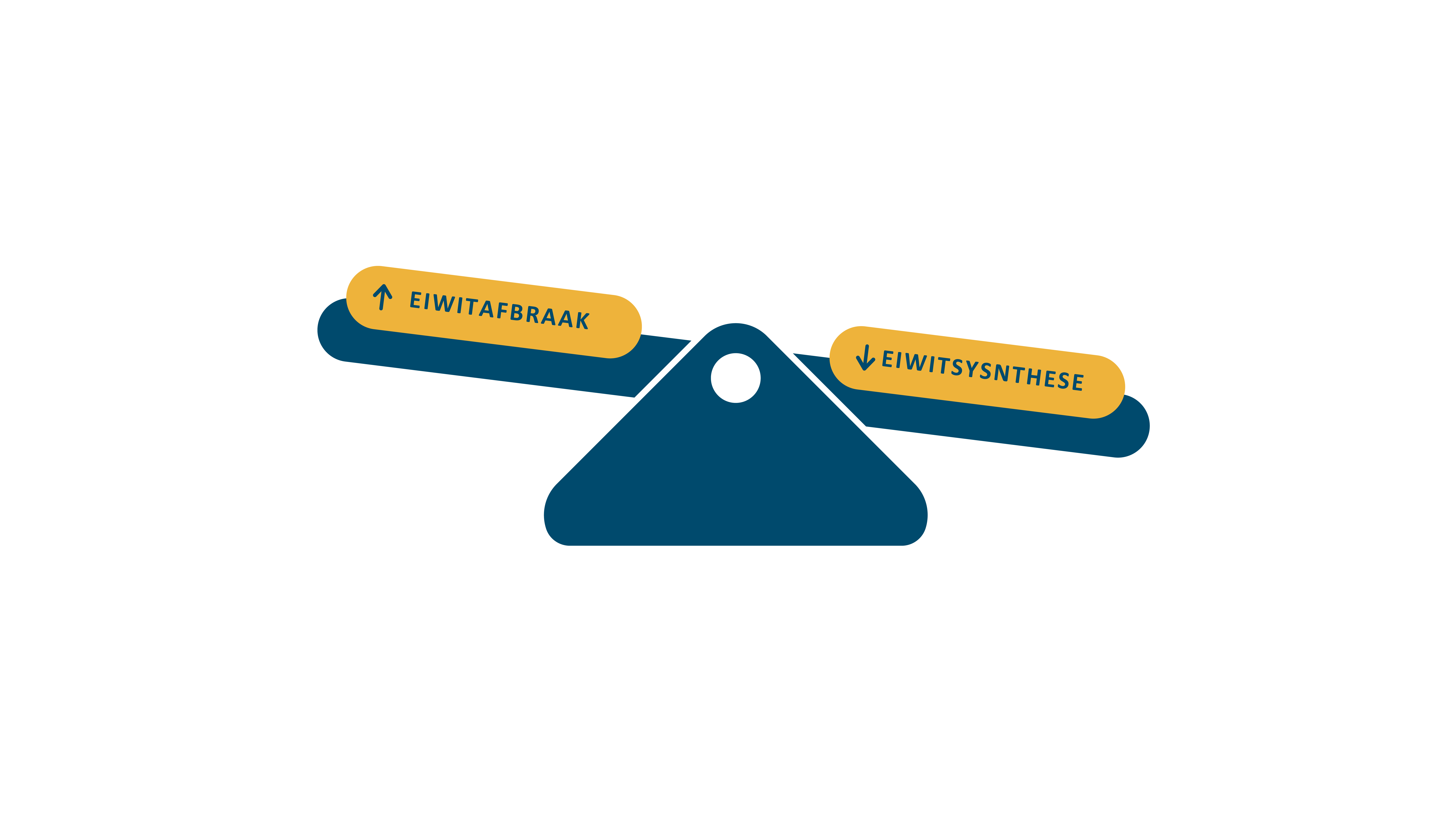 Weegschaal zonder HMB