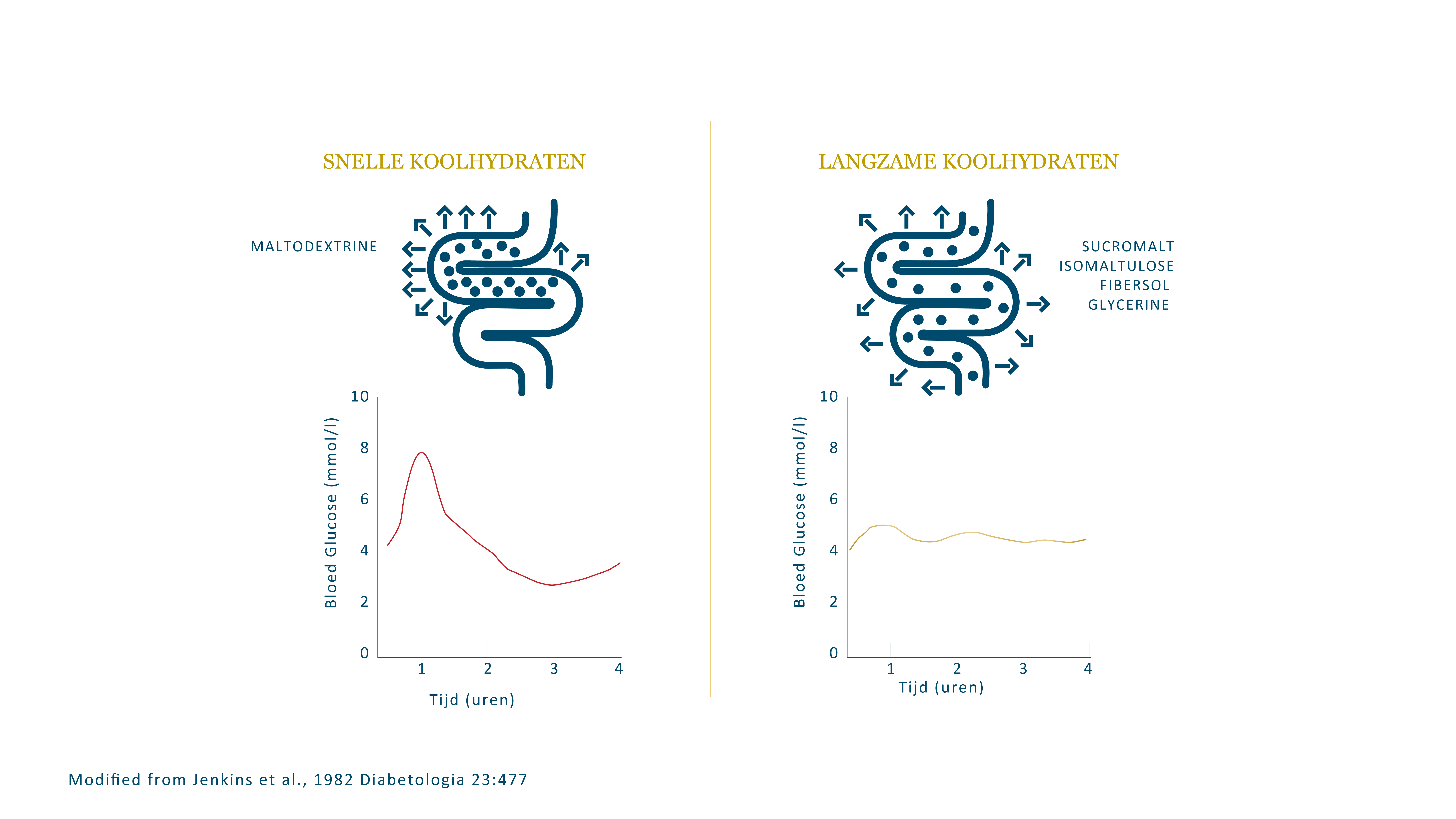 Trage & snelle, verbeterde glykemische controle