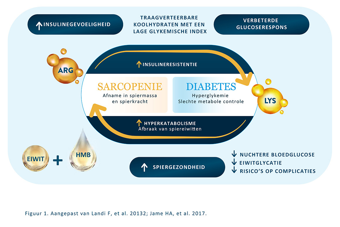 Vicieuze cirkel en Glucerna
